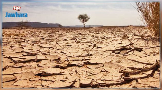 دراسة: ملايين الأشخاص معرضون لخطر الجفاف بسبب تغير المناخ