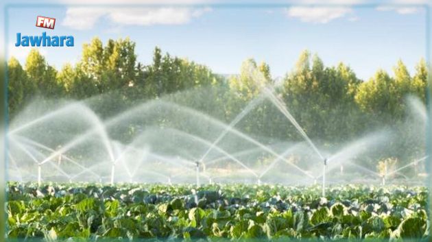 الكاف : إيقاف 10 مزارعين استعملوا مياهً ملوثة في سقي الخضراوات
