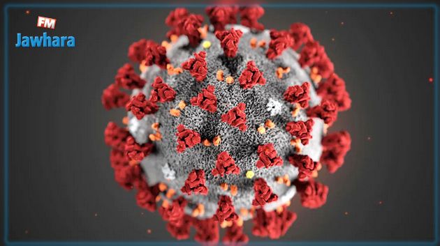 باحثون صينيون : فيروس كورونا قد يعيش حتى 37 يوما