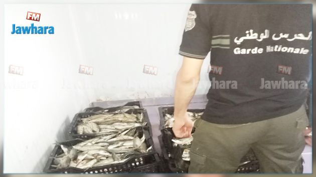 سوسة: حجز 220 كلغ من الأسماك الفاسدة