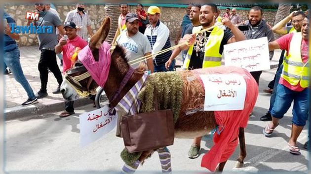 مستشارة ببلدية صفاقس وصفت أعوان النظافة ب'البهايم' فأهدوها حمارا