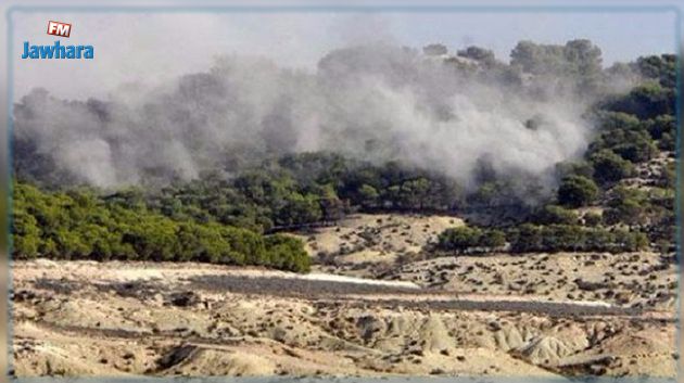 القصرين : اندلاع حريق بالمنطقة العسكرية المغلقة بجبل السلوم