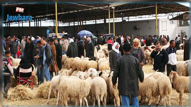 فائض ب 45 % في أضاحي العيد 