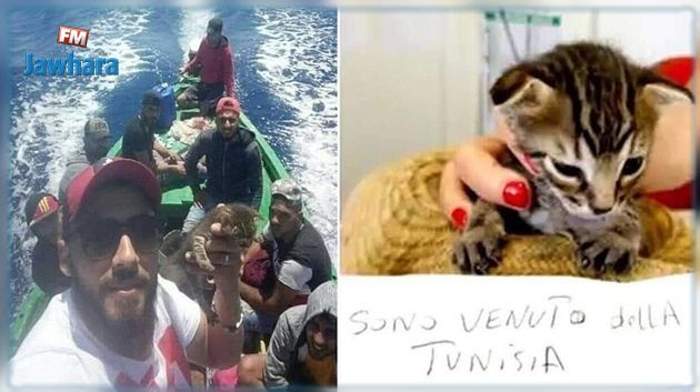 هكذا استقبلت إيطاليا قطّا جاء من تونس على متن قارب مهاجرين
