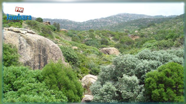 سقوط ثمانيني من أعلى جبل بقربص