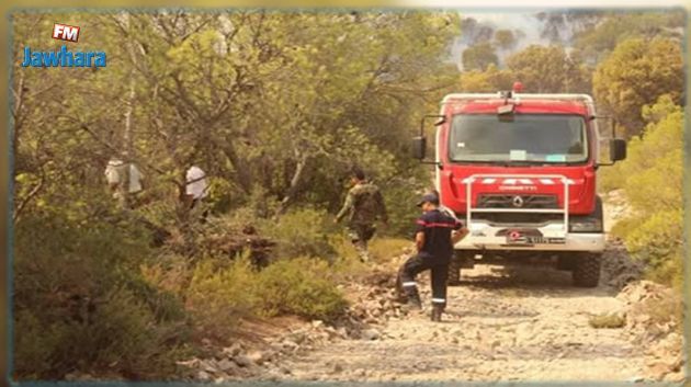 جندوبة : حرائق متواترة بكل من غار الدماء وعين دراهم