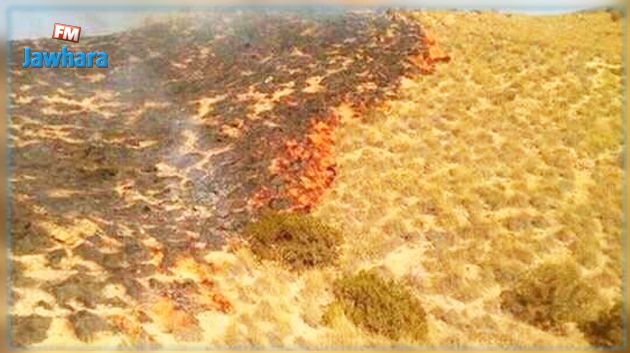 نشوب حريق في جبل الناظور بغار الملح