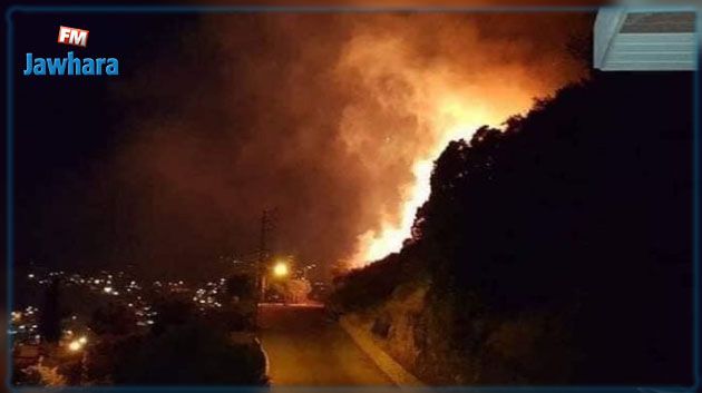 اندلاع حريق ضخم في منطقة البقاع اللبنانية