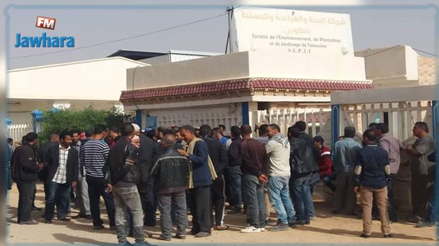 تطاوين: تجدّد احتجاجات عمال شركة البيئة والغراسات والبستنة