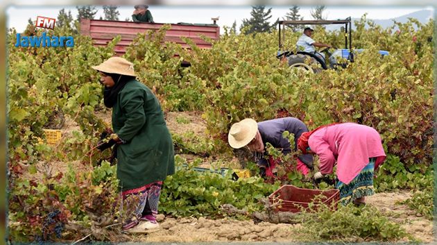الصندوق الدولي للتنمية الزراعيّة يدعو إلى حماية النساء في الأرياف من انعكاسات كورونا