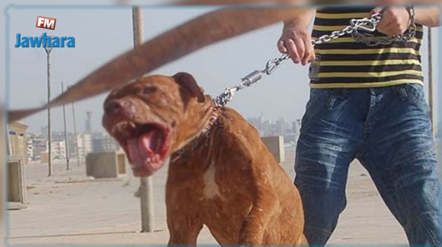 منحرفان يتعمّدان تهييج كلب شرس على المارّة ويتسبّبان في إصابة شخصين