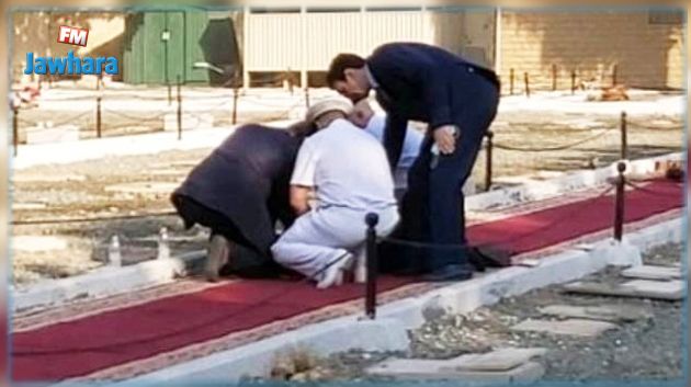 تنظيم 