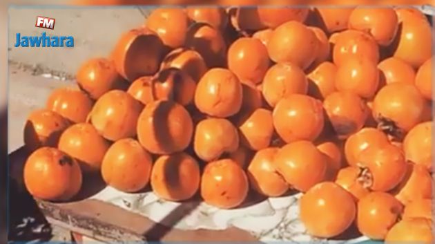 باجة: انتهاء موسم جنى غلال