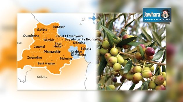 المنستير : صابة الزيتون تضاعفت 17 مرة مقارنة بالموسم الماضي