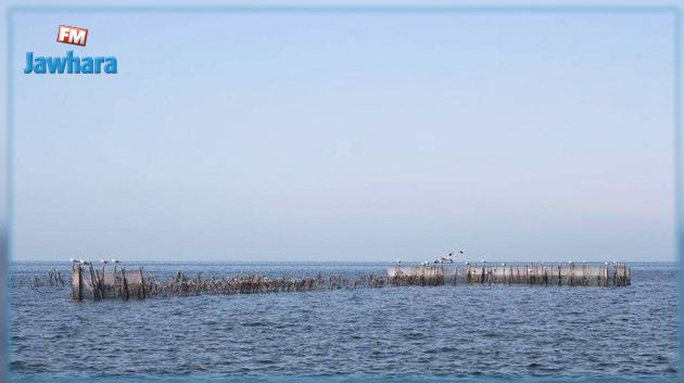 نحو إدراج 