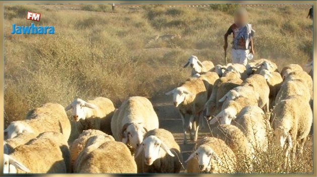 تم ذبحه أمام شقيقيه و ابن عمه : تفاصيل جديدة بخصوص ذبح راعي أغنام بحاسي الفريد