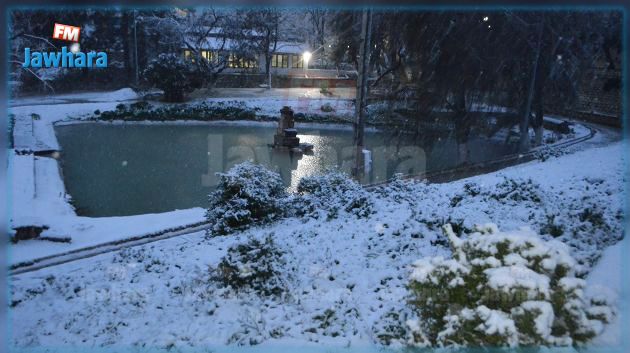 الرصد الجوي : درجة إنذار عالية في هذه الولايات