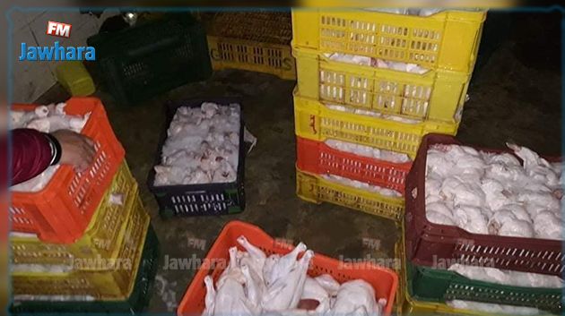 قليبية : مداهمة مذبح عشوائي للدواجن (صور)‎