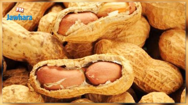 وزارة الفلاحة : شحنة الكاكاوية الفاسدة أُتلفت منذ ماي الماضي