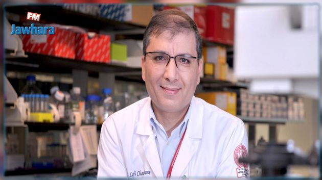 بروفسور تونسي في علم المناعة يكتشف أنّ الجِمال مصدر لمضادات لفيروس كوفيد-19