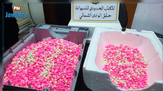 ميناء حلق الوادي : إحباط تهريب 14726 حبة 