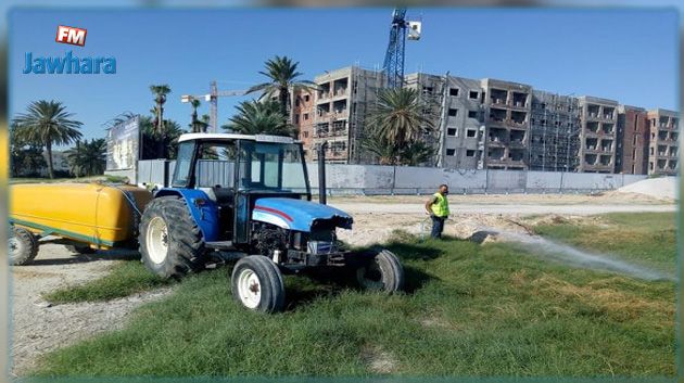 بلدية المنستير: انطلاق التدخلات الميدانية لمقاومة تكاثر الحشرات