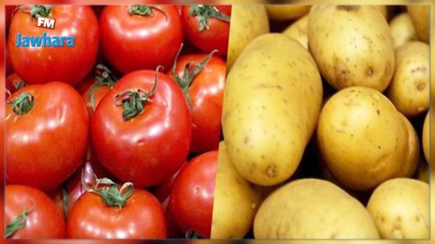 وزارة الفلاحة تنبّه إلى مرض قد يطال البطاطا والطماطم 