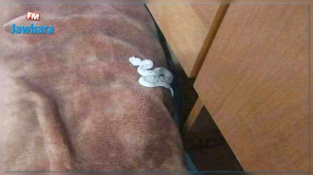 قفصة: وفاة طفل بلدغة أفعى‎