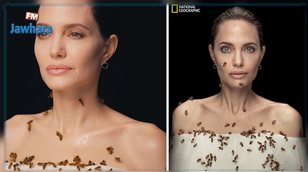 في يومه العالمي: النّحل يغطّي وجه أنجلينا جولي وجسدها (فيديو)