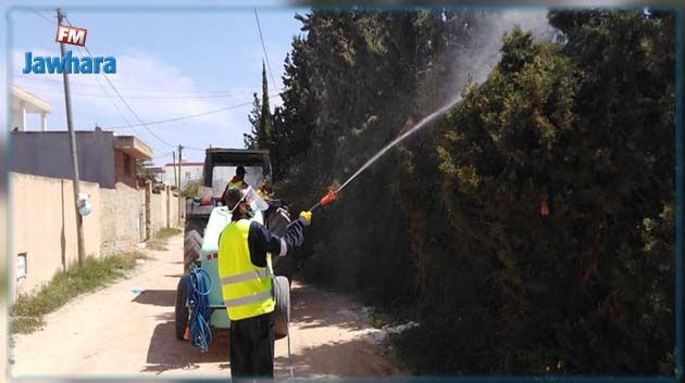 وزارة الصحة تعلن عن انطلاق حملة لمقاومة الحشرات