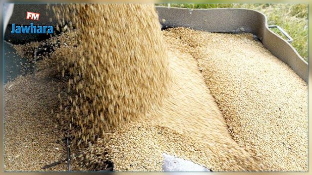 القصرين: حجز 2,5 طن من الشعير العلفي المدعم