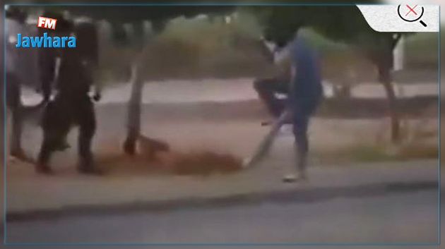 تعرية شاب وسحله : 