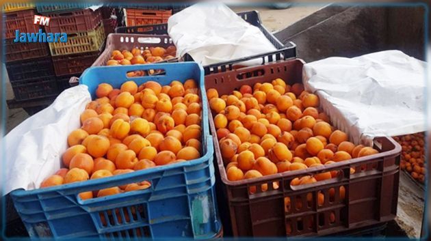 القصرين: صابة هامة من 