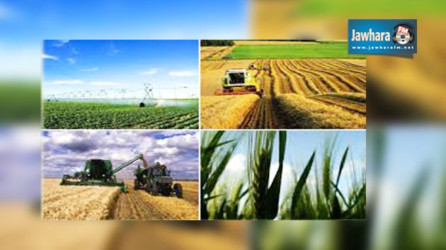 تطور الاستثمارات الفلاحية الخاصة ب18.8 بالمائة إلى موفى شهر أكتوبر 2014
