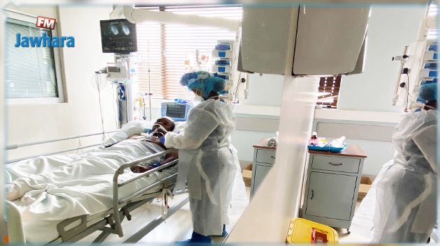 تفاصيل بخصوص حامل السلالة البرازيلية بالمهدية