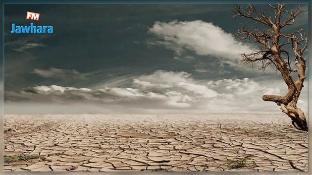 وزير الفلاحة : ستشهد البلاد خلال السنوات الثلاث القادمة تحَدٍ كبير يتمثل في حدة الشح المائي