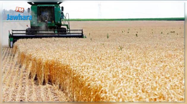 جندوبة : احتراق آلة حصاد ومساحة من الحبوب بإحدى شركات الاحياء الفلاحية في بوسالم