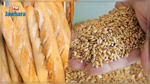 ديوان الحبوب مفلس..وتونس بلا خبز آخر جويلية : الديوان يرد و يوضح