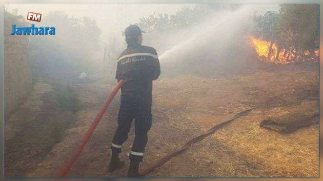 الكاف : قريبا السيطرة التامّة على حريق 