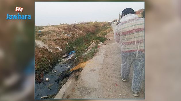 بلدية رواد تحمّل ديوان التطهير مسؤولية تكاثر الحشرات