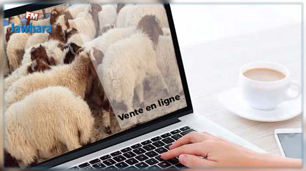 مدير عام شركة اللحوم: الإقبال على شراء الأضاحي عبر الانترنت فاق التوقعات