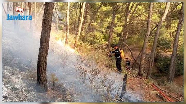 غار الدماء: النيران تلتهم 7 منازل و سيارة وتأتي على أكثر من 40 هكتارا