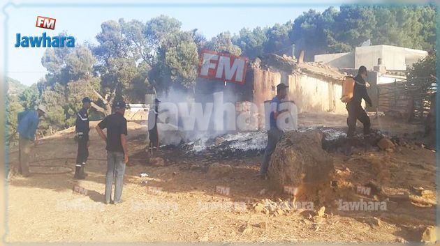 خسائر طالت المنازل والثروة الغابية : تعزيزات من 4 ولايات لإخماد حرائق غار الدماء