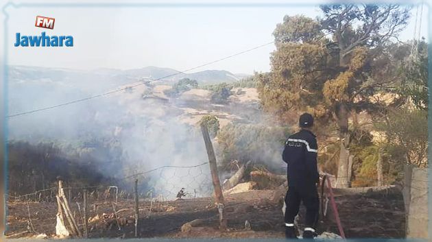 وحدات الحماية المدنية تتدخّل لإطفاء 138 حريقا في الـ 24 ساعة الماضية