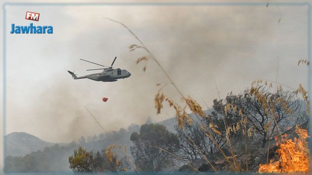 مروحيات الجيش تنفذ 63 طلعة جويّة لإخماد الحرائق