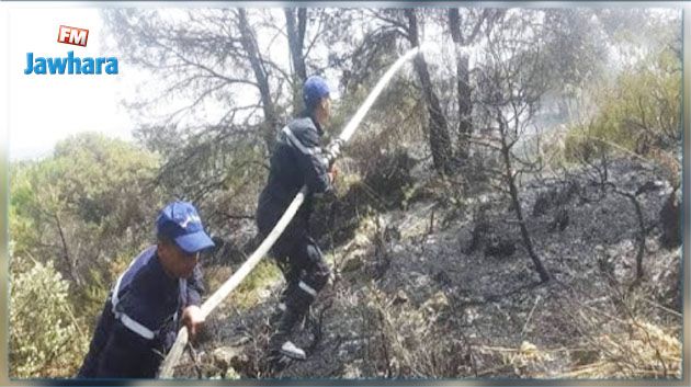 بنزرت: السّيطرة على حريق جبل سيدي خلف بمنطقة الدمنة من معتمدية راس الجبل