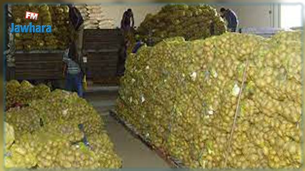 المنستير: حجز أكثر من ألف طن من البطاطا في أربعة مخازن تبريد عشوائية
