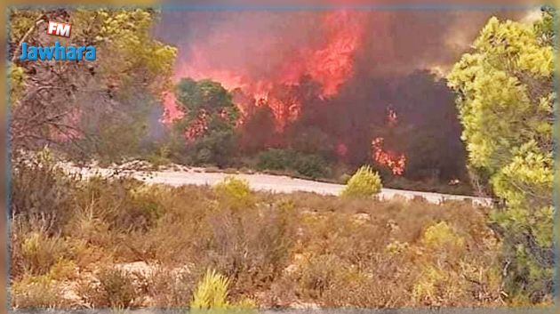 بنزرت: تجدد اندلاع النيران في جبل الناظور