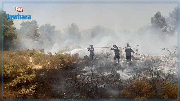 توسع رقعة الحرائق بغابات عين دراهم وفرنانة وغارالدماء