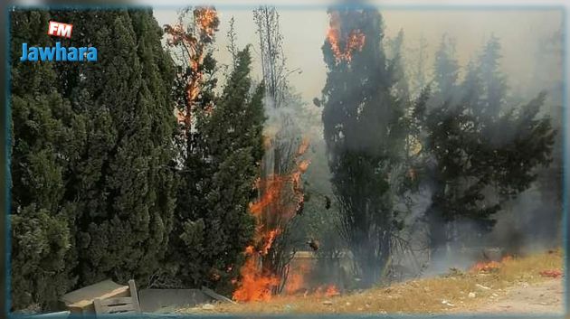 حريق على مستوى الطريق الرابطة بين منارة الحمامات وبئر بورقبة